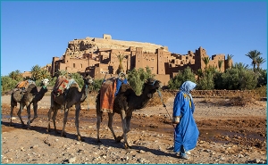 Full-Day Private Tour to Kasbah Ait Ben Haddou